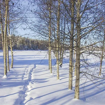Pet Friendly In Rendalen With Sauna